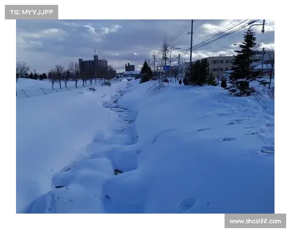札幌jr—札幌冬季运动赛事激情绽放冰雪魅力无限精彩纷呈 札幌jr—札幌冬季运动赛事激情绽放冰雪魅力无限精彩纷呈