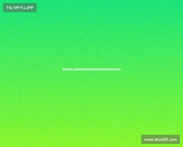 永昌队赛事安排,石家庄永昌队二零二四赛季赛事安排全景解析赛程重点比赛与球队动态